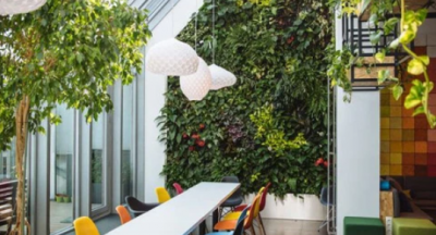 Những loại cây “hút bức xạ” chốn công sở