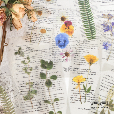 Sticker pet vintage hình dán hoa lá hình chữ set 6 miếng nền trong , trang trí sổ